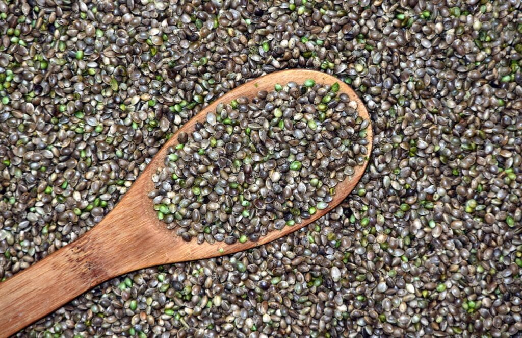 High-Protein Vegetarian Food Hemp Seeds